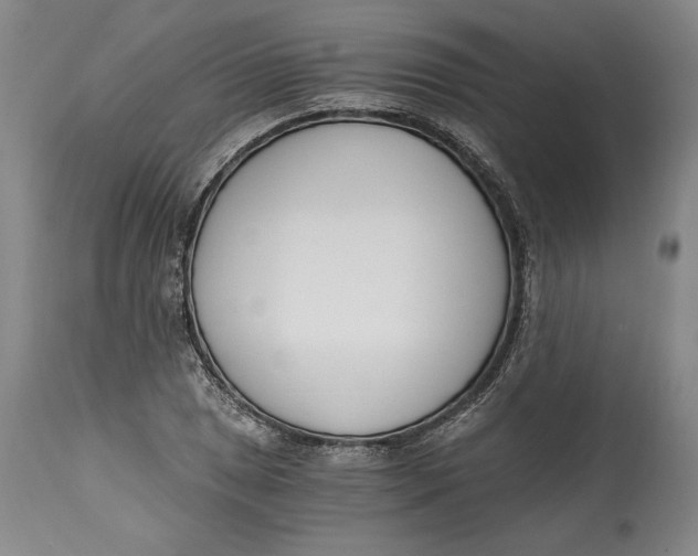 X0000115081025200911171149