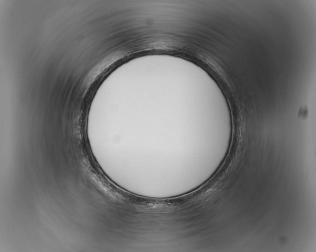 X0000115081026200911171149