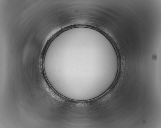 X0000115081029200911171149