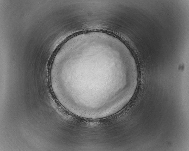 X0000115081031200911171149