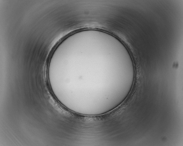 X0000115081032200911171149