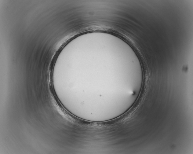 X0000115081034200911171149