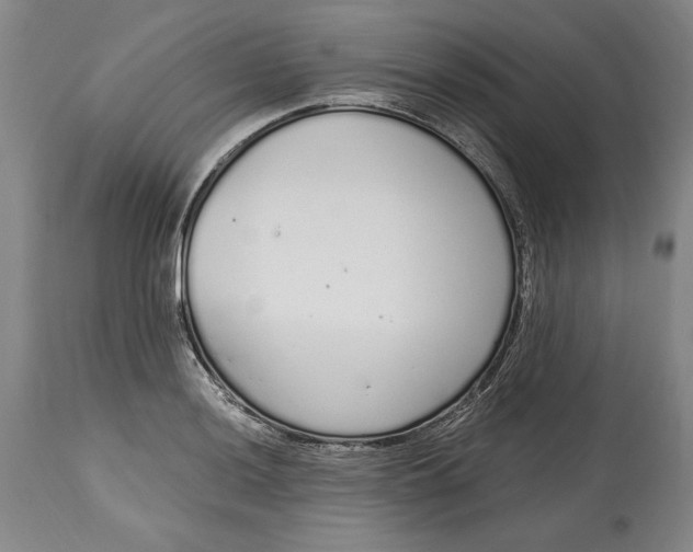 X0000115081036200911171149