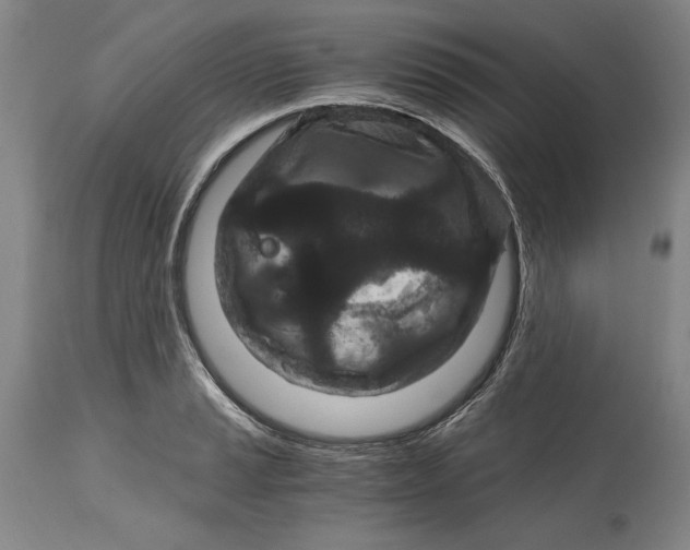 X0000115081037200911171149