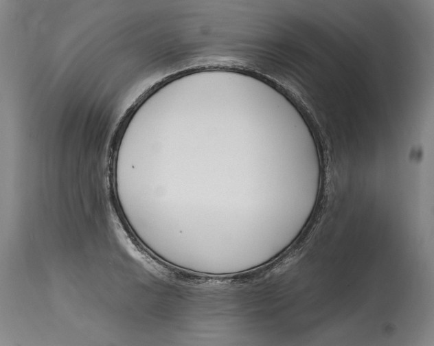 X0000115081038200911171149