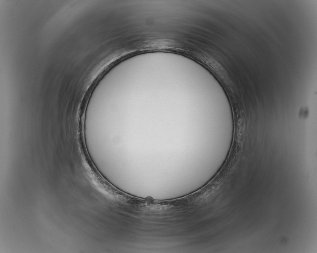 X0000115081039200911171149