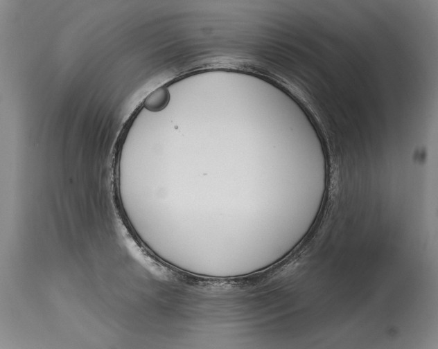 X0000115081042200911171149