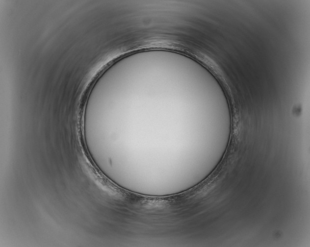 X0000115081043200911171149