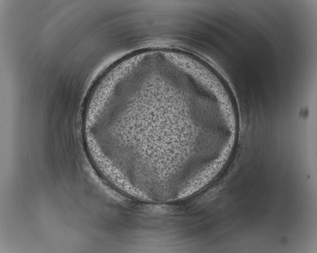 X0000115081045200911171149