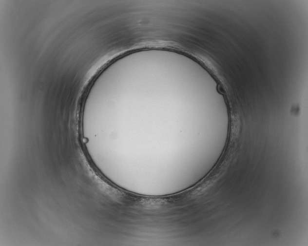 X0000115081046200911171149