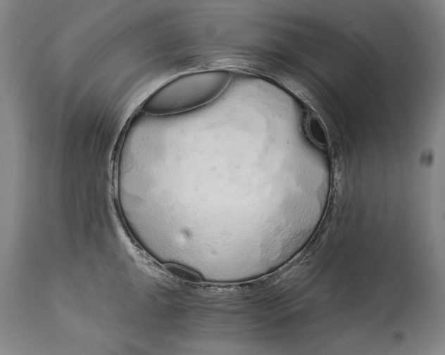X0000115081047200911171149