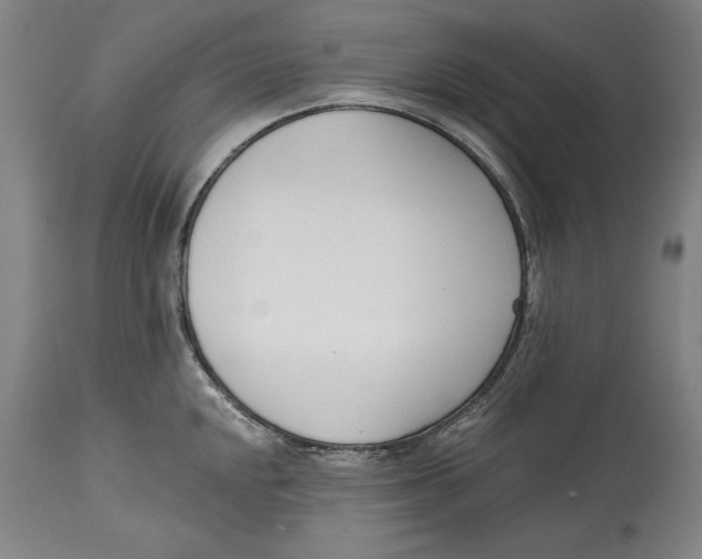 X0000115081048200911171149