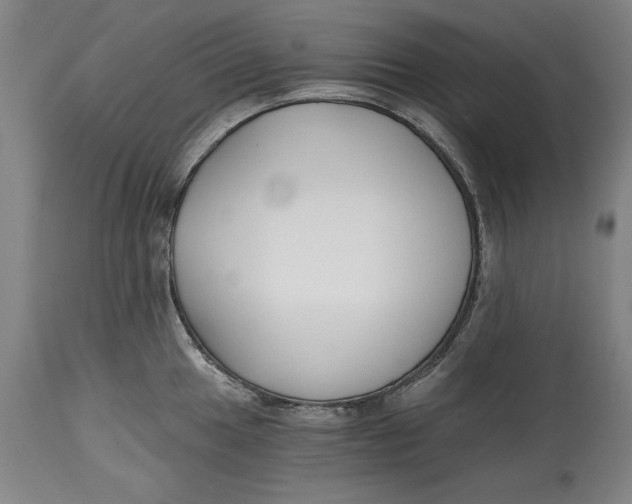 X0000115081049200911171149