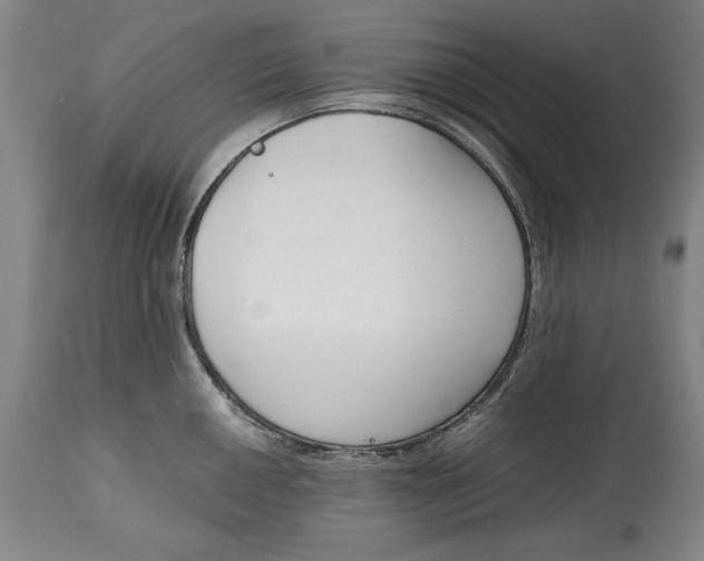 X0000115081050200911171149