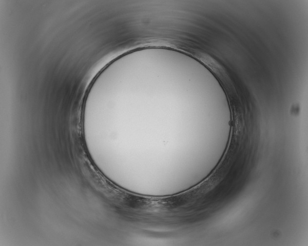 X0000115081052200911171149