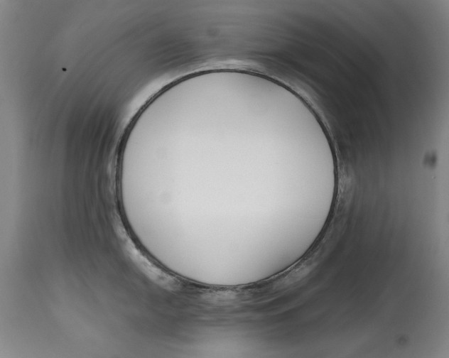 X0000115081054200911171149
