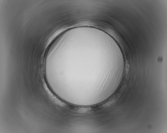 X0000115081055200911171149