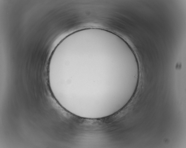 X0000115081056200911171149