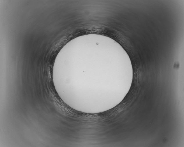 X0000115081058200911171148