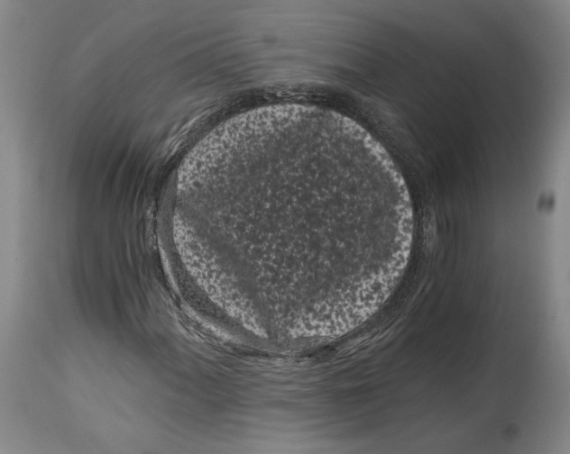 X0000115081060200911171148