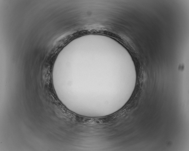 X0000115081063200911171148