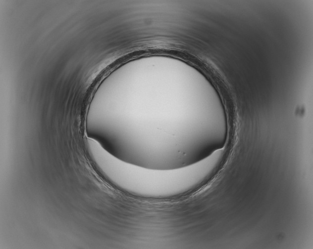 X0000115081065200911171148