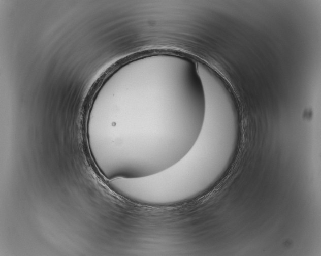 X0000115081068200911171148