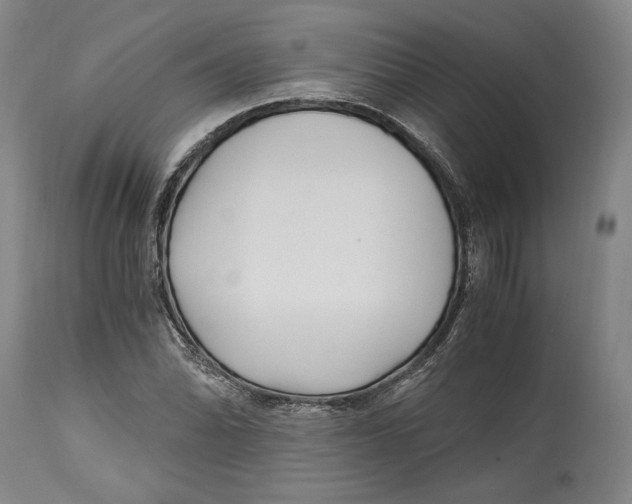 X0000115081070200911171148