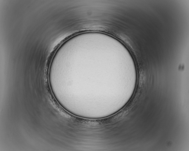 X0000115081071200911171148