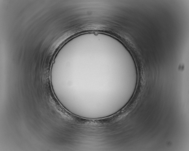 X0000115081073200911171148
