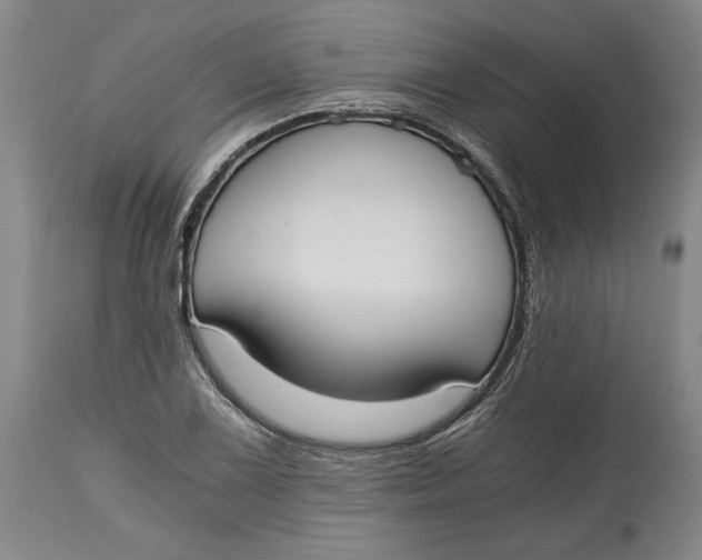 X0000115081075200911171148