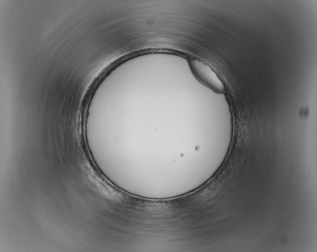 X0000115081076200911171148