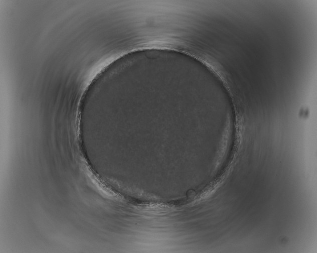 X0000115081077200911171148