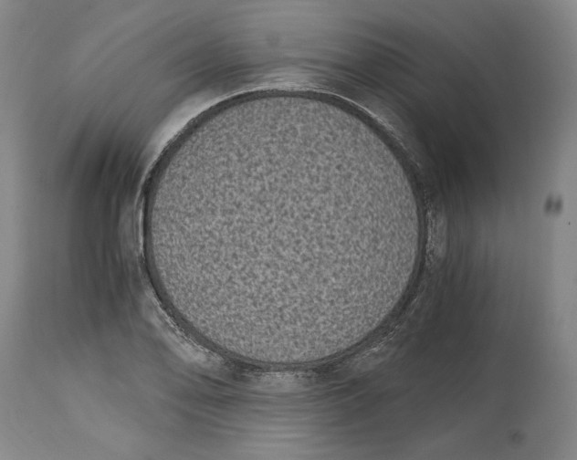 X0000115081078200911171148