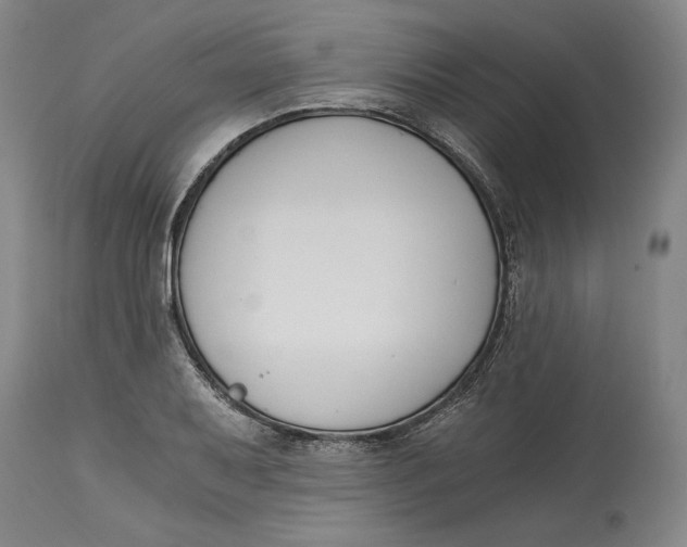 X0000115081079200911171148