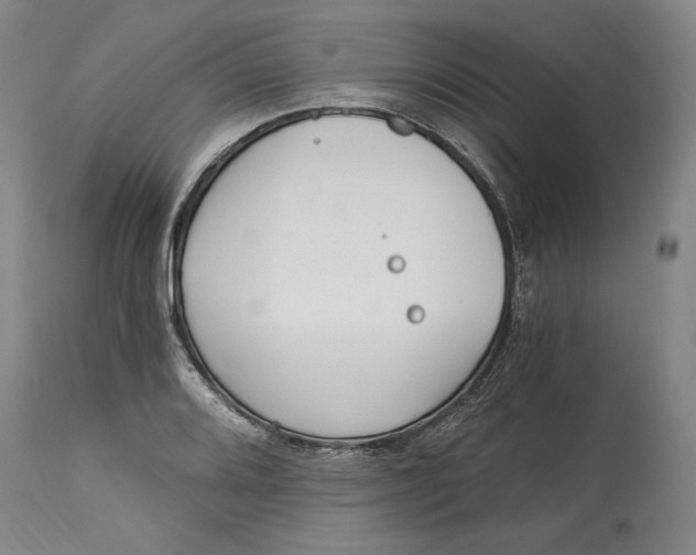 X0000115081080200911171148