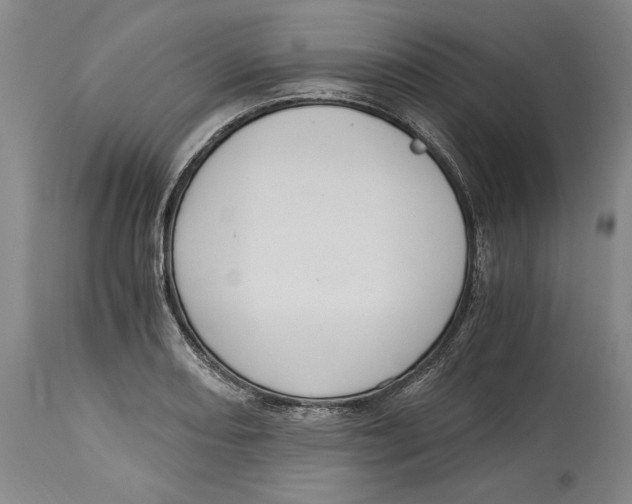 X0000115081082200911171148