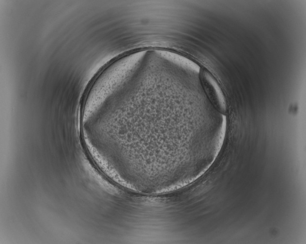 X0000115081084200911171148