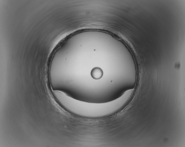X0000115081085200911171148
