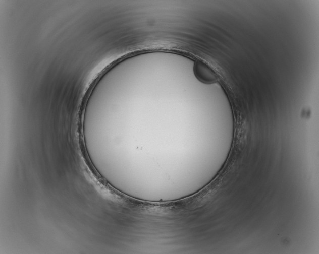 X0000115081086200911171148