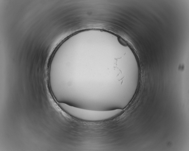 X0000115081088200911171148