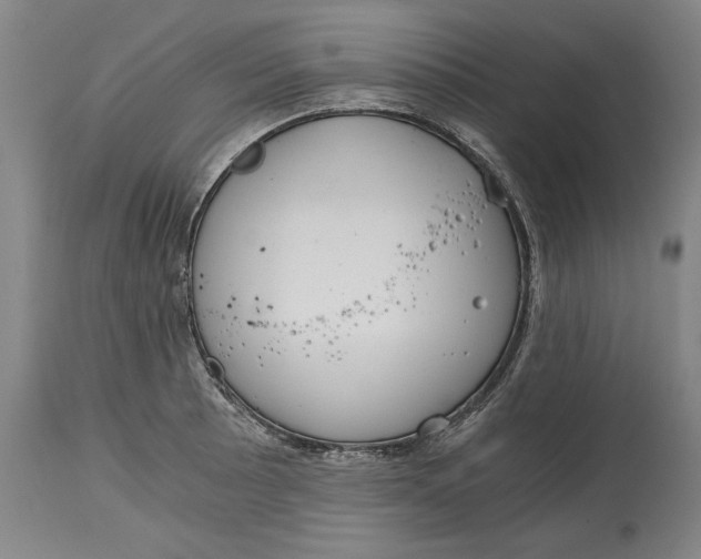 X0000115081089200911171148