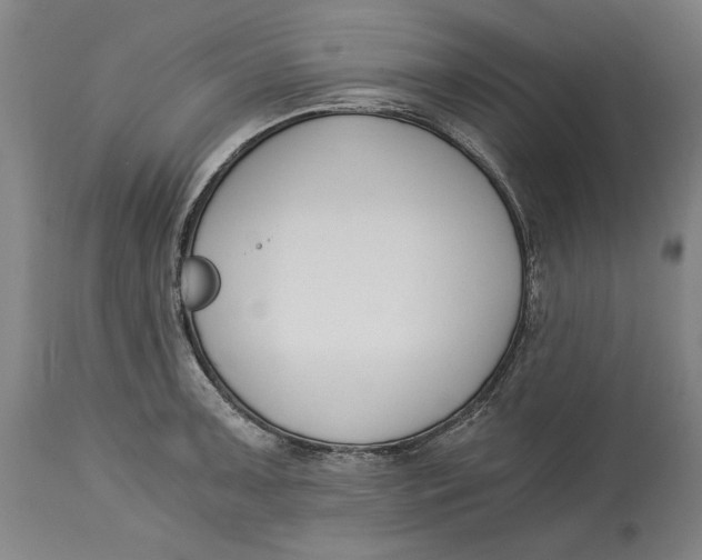 X0000115081091200911171148