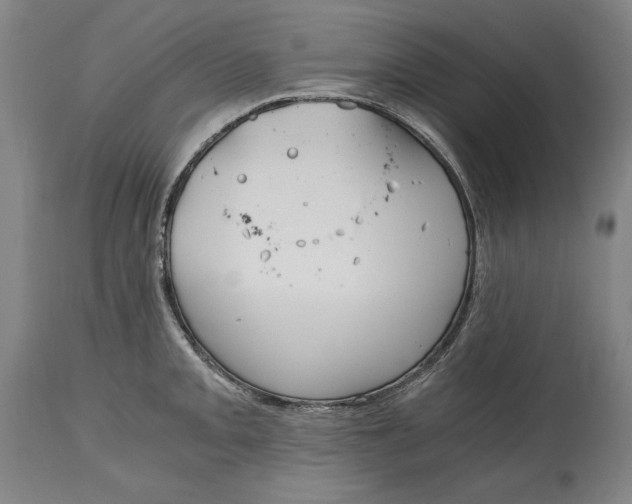 X0000115081093200911171148