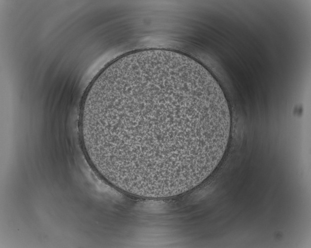 X0000115081094200911171148