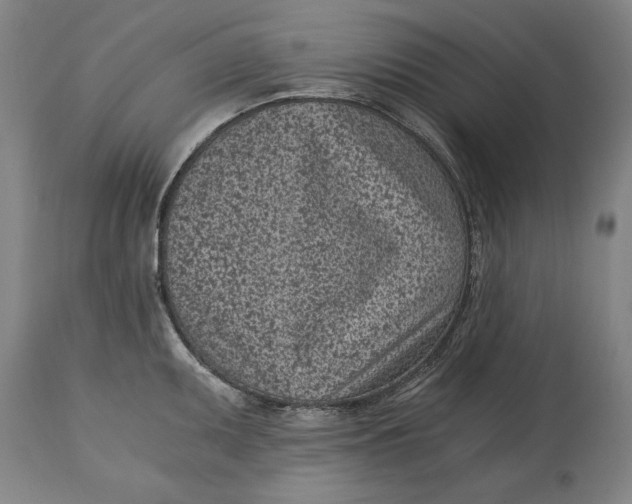 X0000115081095200911171148