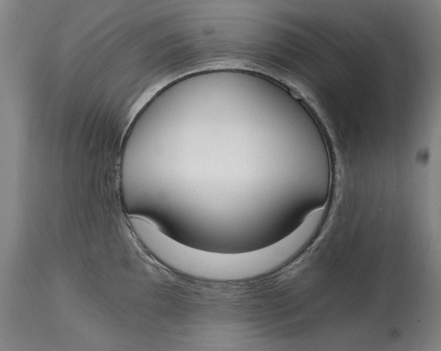 X0000115081097200911171148