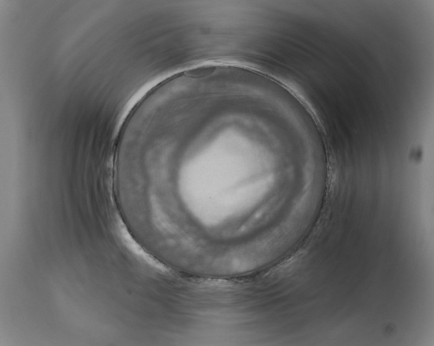 X0000115081100200911171148