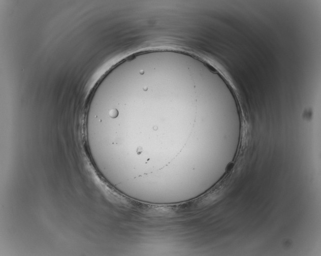 X0000115081101200911171148