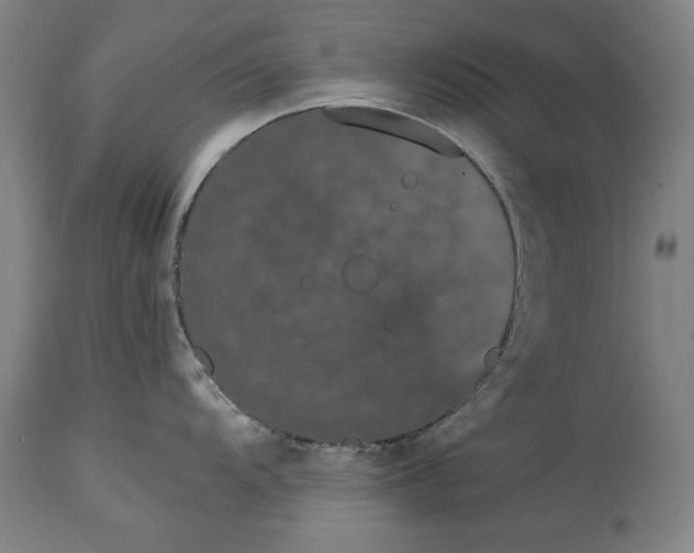 X0000115081104200911171147